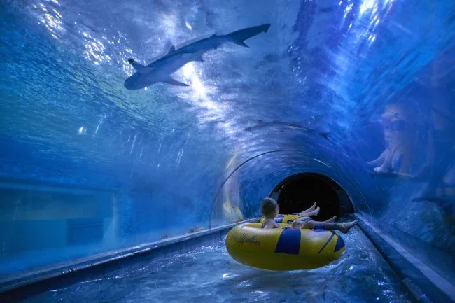 Aquapark Fabryka Wody